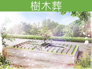 上越市の樹木葬：はなみずき