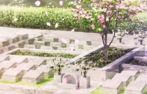 上越市の樹木葬：はなみずき
