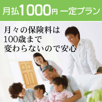 保険料一定タイプ